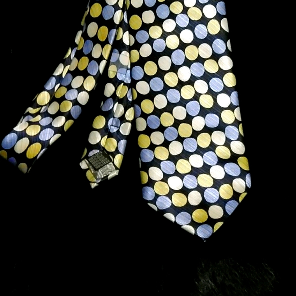 Steve Land Men's 100% Silk Tie